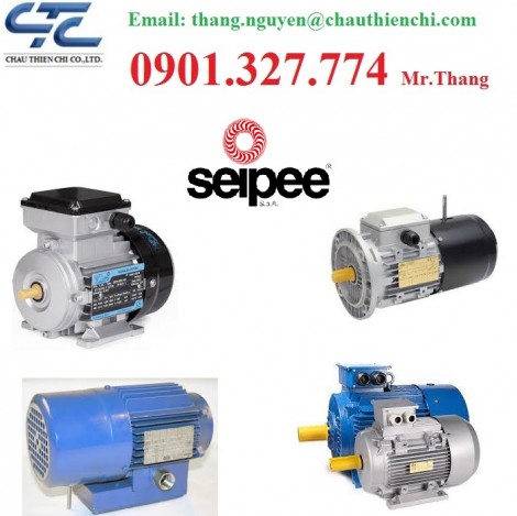 Động cơ SEIPEE - Động cơ Electric SEIPEE Việt Nam