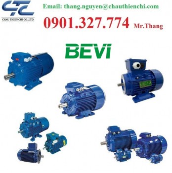 Đại lý Động cơ Motor Electric Bevi Made in Italy